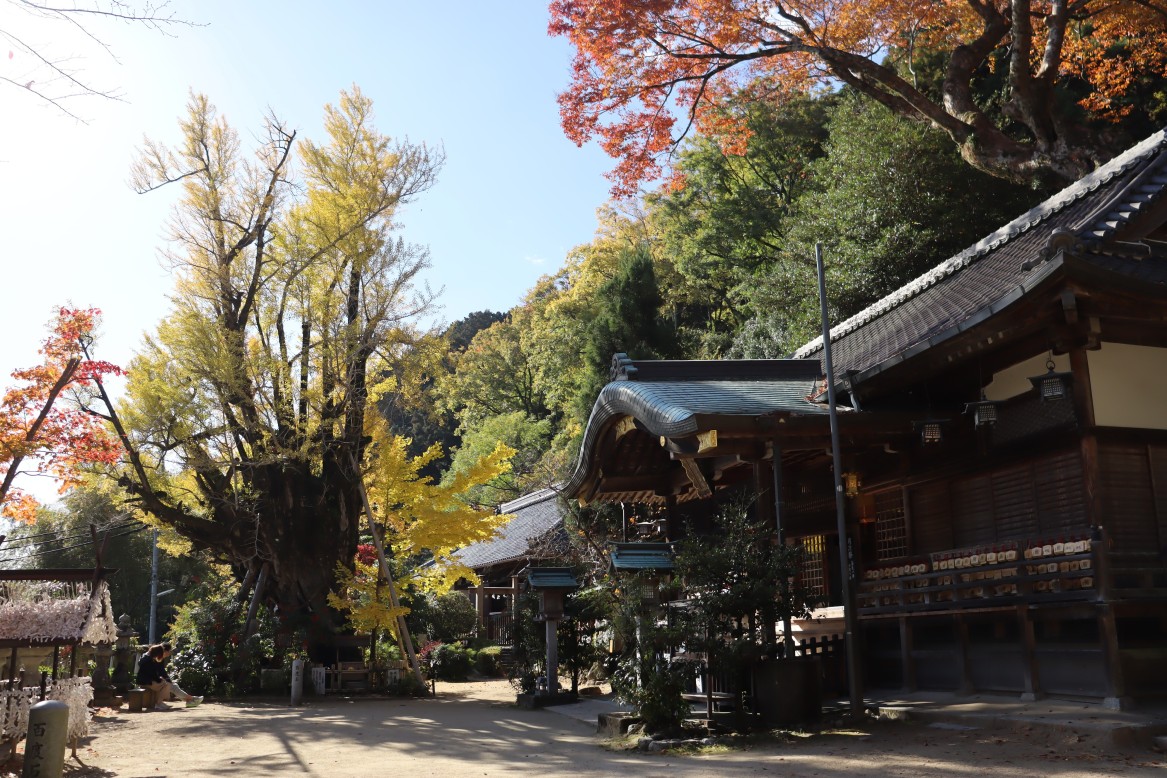 葛城古道