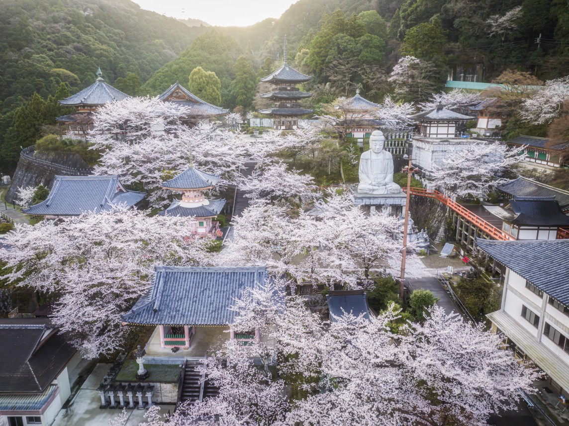 壺阪寺