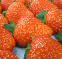 アスカルビー（奈良の果物：いちご）