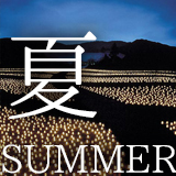 夏のイベント