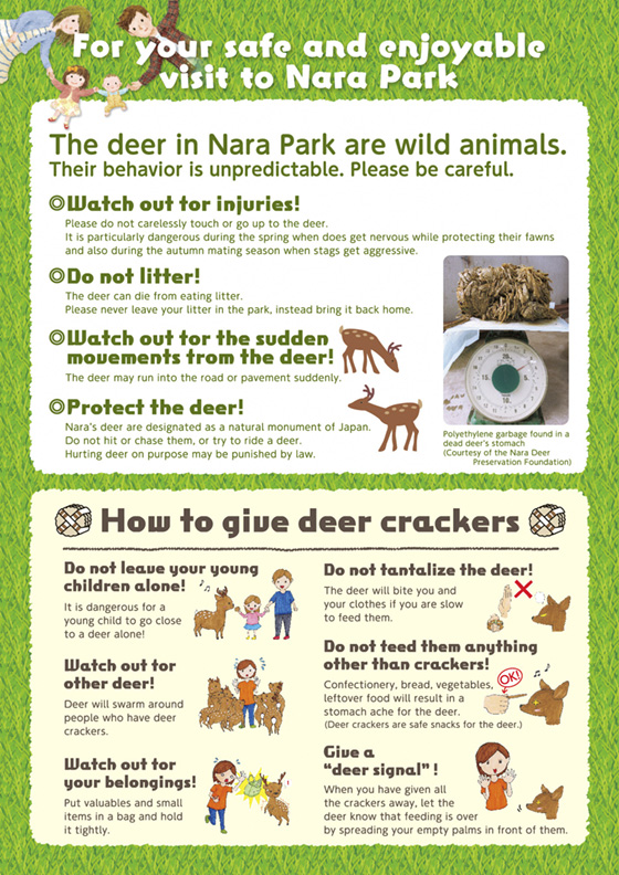 シカについて事故多発注意チラシ（英語　裏）