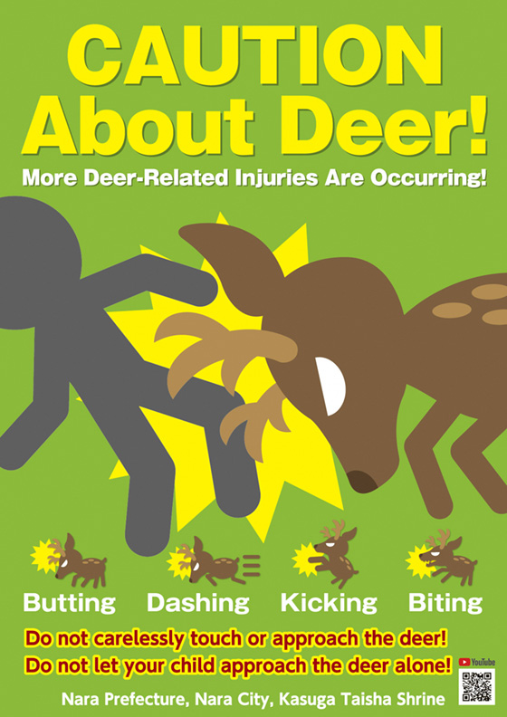 シカについて事故多発注意チラシ（英語　表）