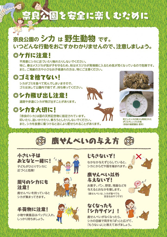 シカについて事故多発注意チラシ（日本語　裏）