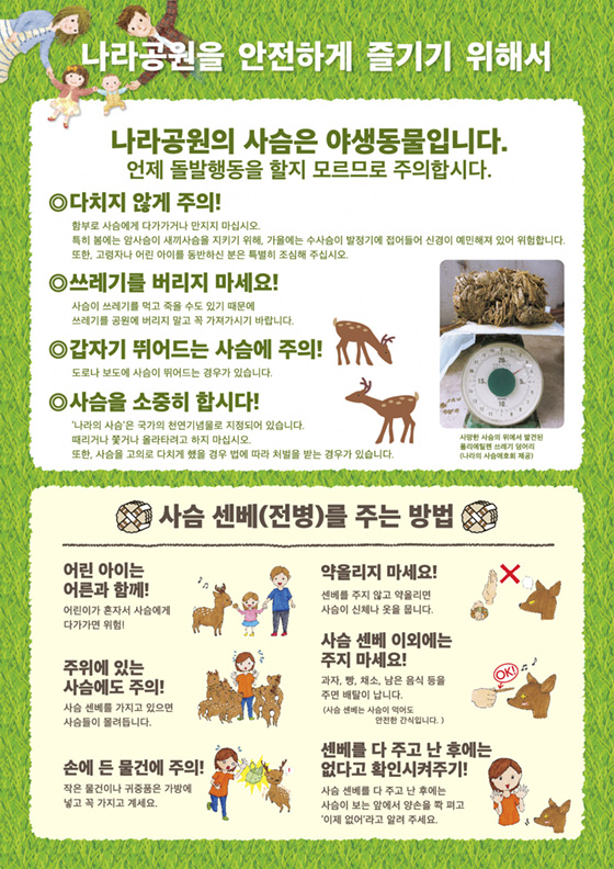 シカについて事故多発注意チラシ（韓国語　裏）
