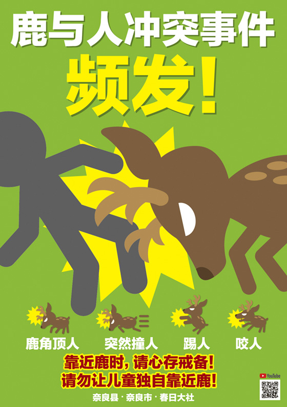 シカについて事故多発注意チラシ（中国語簡体字　表）