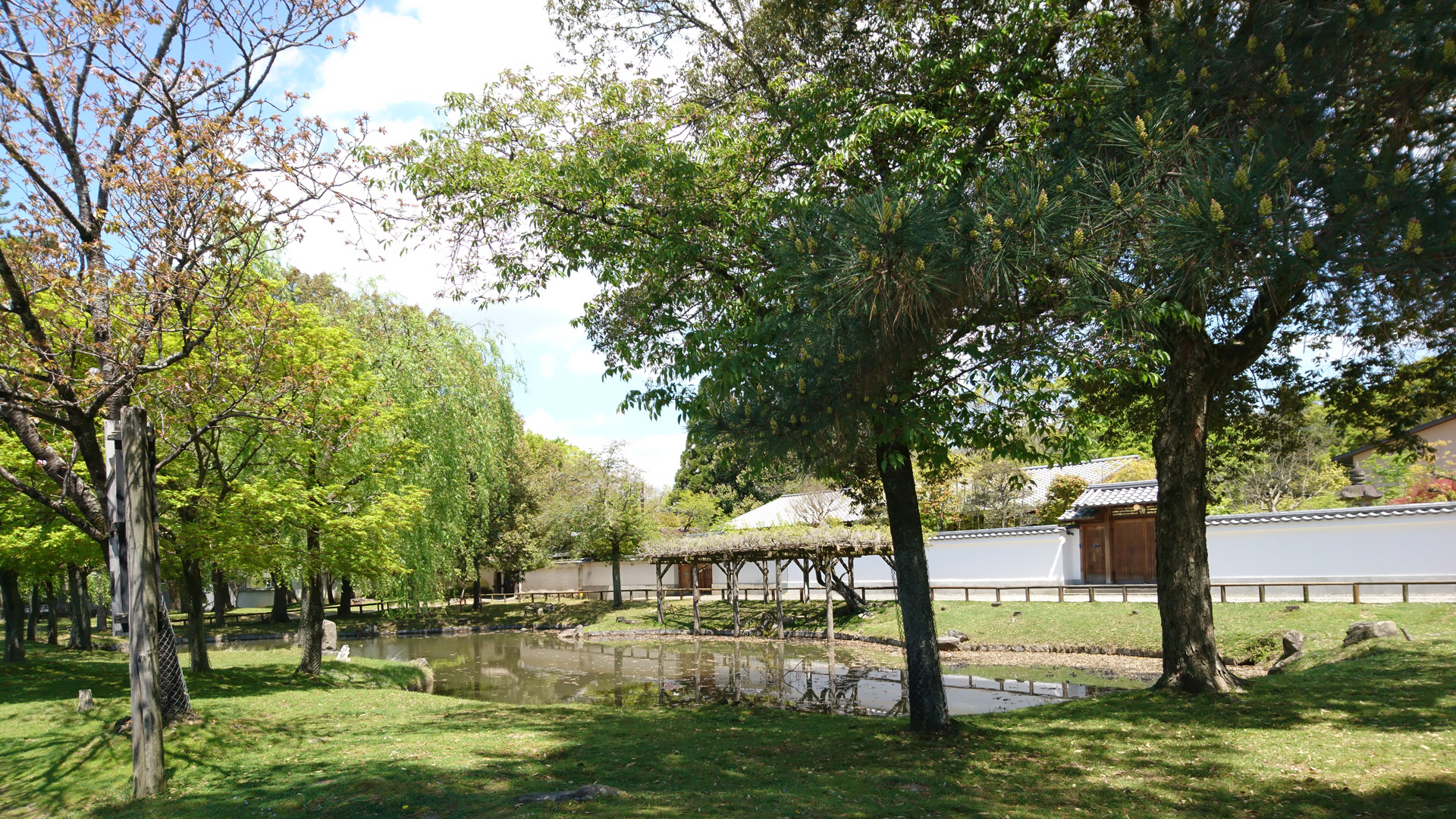 みとりゐ池園地