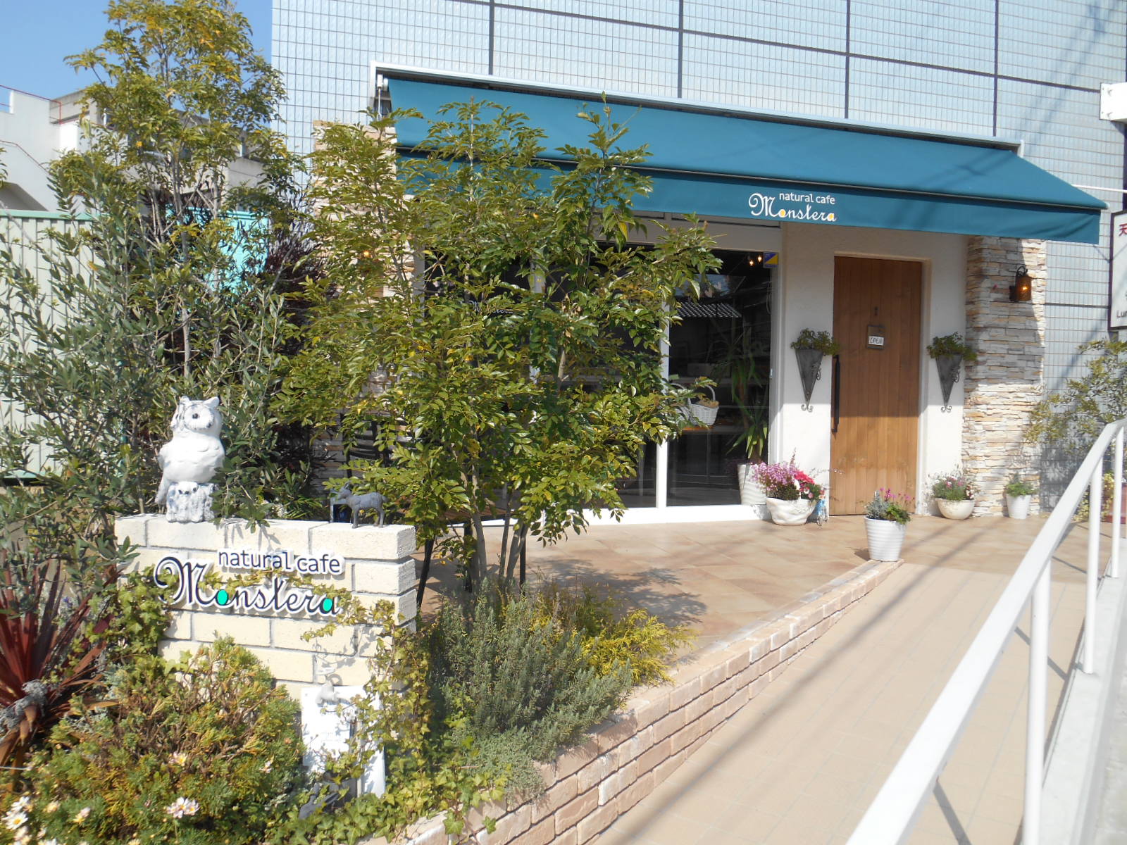 写真_ナチュラルカフェモンステラ外観