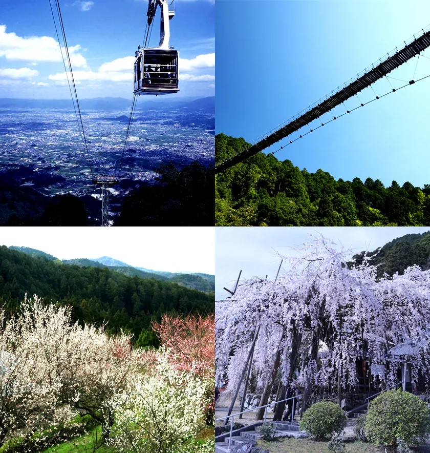 奥大和市町村 画像