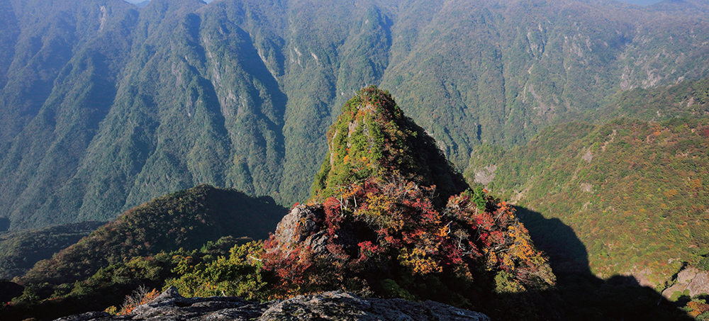 上北山村職員 画像