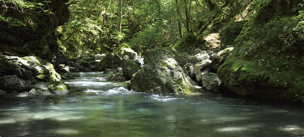 川上村職員 画像