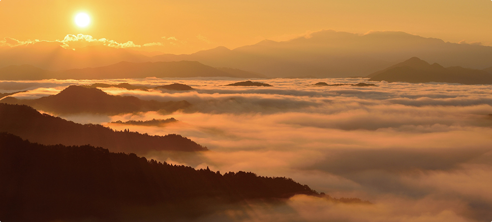 野迫川村職員 画像