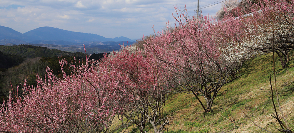 下市町職員 画像