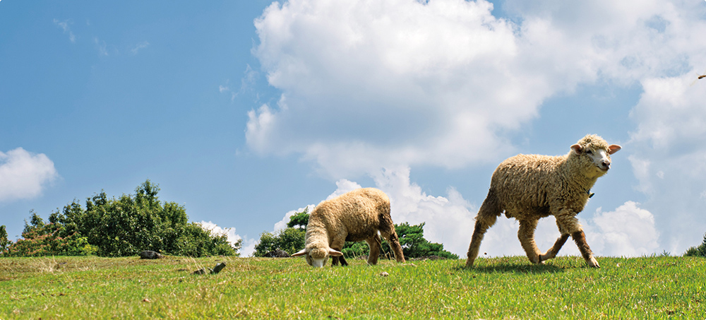 山添村職員 画像