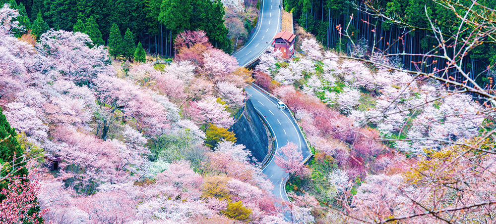 吉野町職員 画像