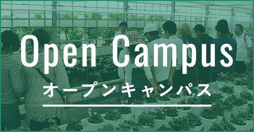 Open Campus オープンキャンパス