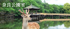 奈良公園室