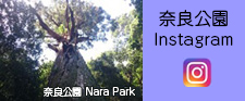 奈良公園Instagram