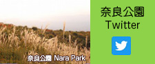 奈良公園Twitter
