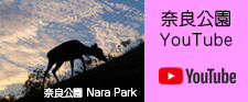 奈良公園Youtube