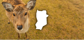 エリアから探す