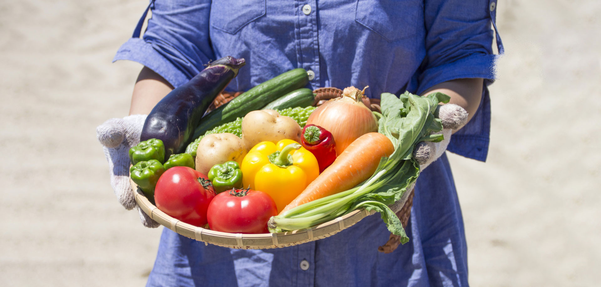 野菜盛り合わせ