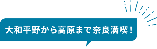 大和平野から高原まで奈良満喫！