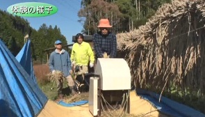 作業体験の様子