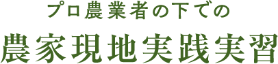 農家現地実践実習