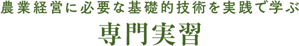 農業経営に必要な基礎的技術を実践的に学ぶ専門実習