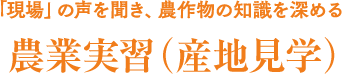 農業実習（産地見学）