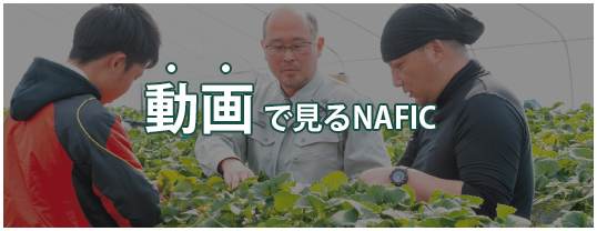 動画で見るNAFIC
