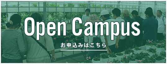 Open Campus お申込みはこちら
