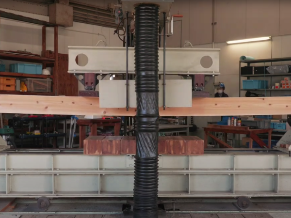 奈良の木の強度試験動画