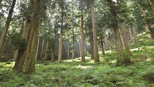 奈良の木づかい運動推進月間ＰＲ動画