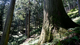 LIFE IN YOSHINO NARA , JAPAN