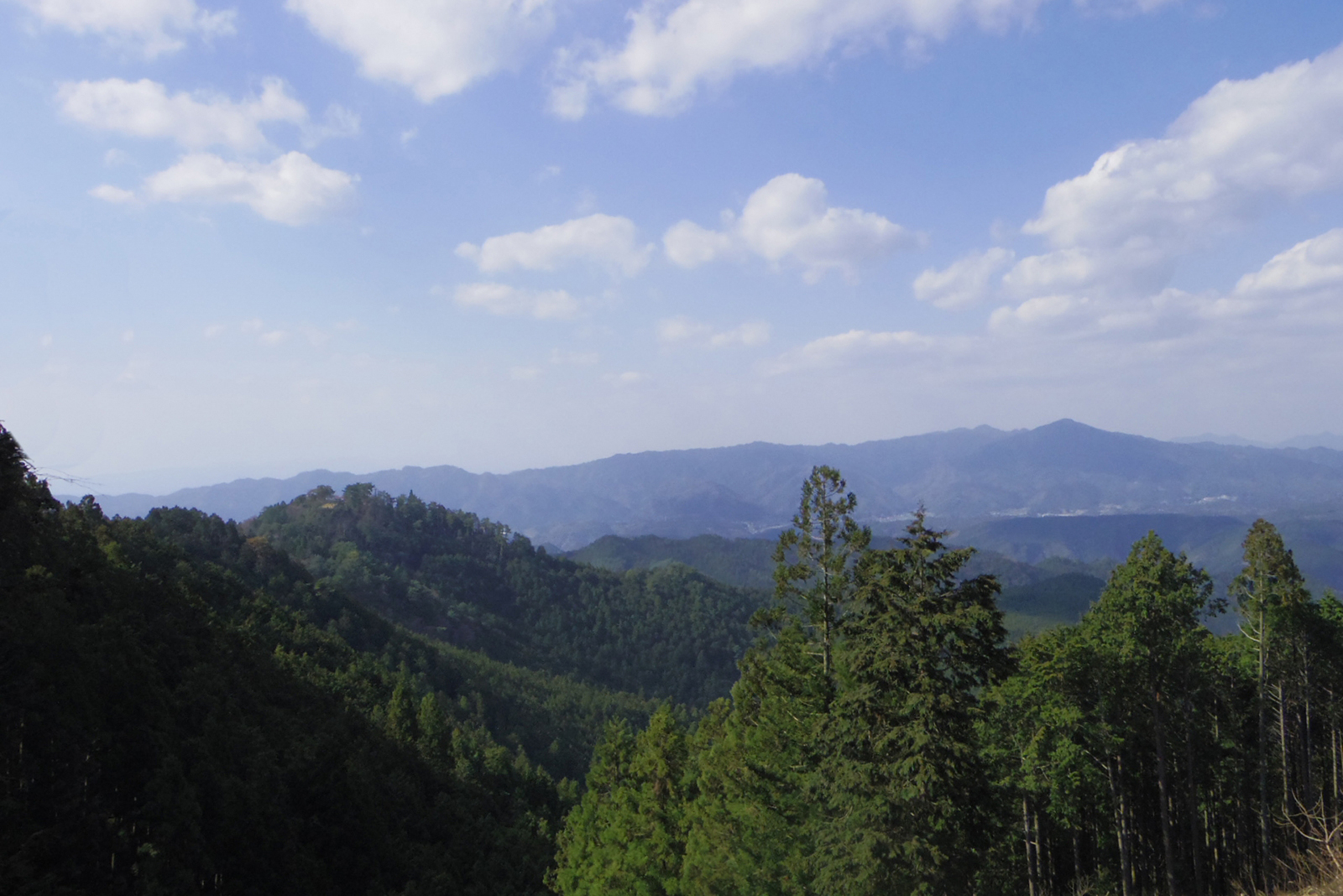 森林を次の世代につないでいくために