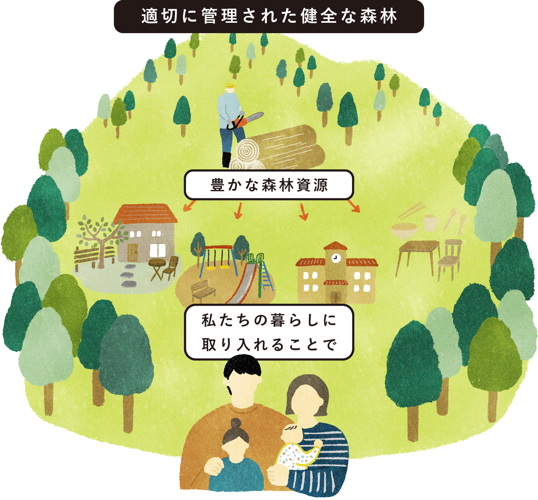 適切に管理された健全な森林