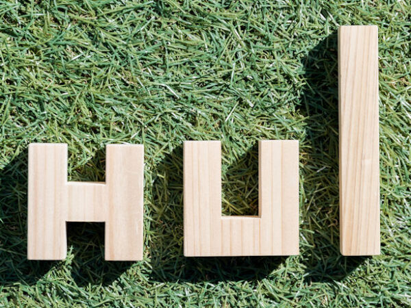 奈良の木 プロダクト ひのきの積み木HUI