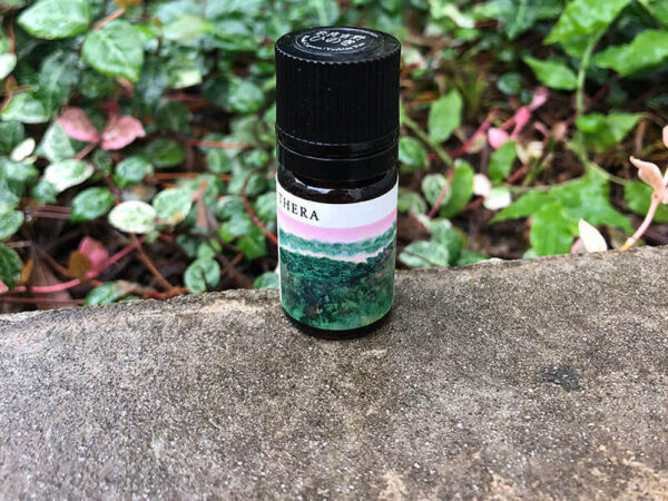 奈良の木 プロダクト 吉野ヒノキ精油