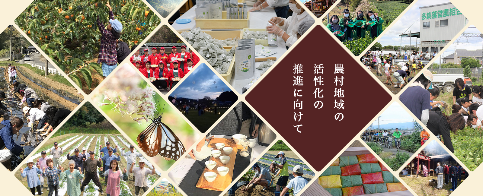 農村地域の　活性化の　推進に向けて